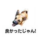 写メなのであるうちの犬（個別スタンプ：19）
