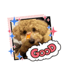 そるぼーい（個別スタンプ：6）