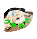 そるぼーい（個別スタンプ：7）