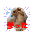 そるぼーい（個別スタンプ：12）