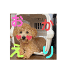 そるぼーい（個別スタンプ：14）