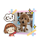 そるぼーい（個別スタンプ：16）