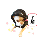 Happyキンちゃん（個別スタンプ：4）