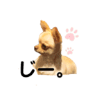 Happyキンちゃん（個別スタンプ：5）
