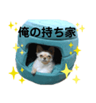 Happyキンちゃん（個別スタンプ：6）