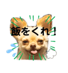 Happyキンちゃん（個別スタンプ：8）