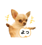 Happyキンちゃん（個別スタンプ：9）