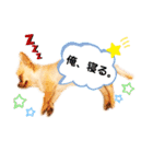 Happyキンちゃん（個別スタンプ：10）