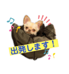 Happyキンちゃん（個別スタンプ：11）