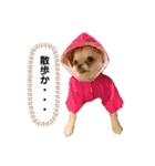 Happyキンちゃん（個別スタンプ：13）