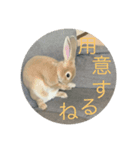 ツナの毎日2（個別スタンプ：3）