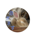 ツナの毎日2（個別スタンプ：6）