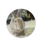 ツナの毎日2（個別スタンプ：8）