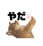 愛しのリーちゃんず（個別スタンプ：7）