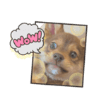 愛しのリーちゃんず（個別スタンプ：9）