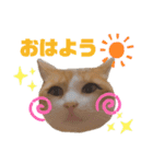 愛しのリーちゃんず（個別スタンプ：12）