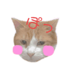 愛しのリーちゃんず（個別スタンプ：13）