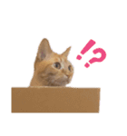 愛しのリーちゃんず（個別スタンプ：14）