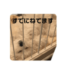 そらゆき2（個別スタンプ：1）