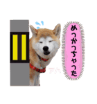 ♪かりんりんりん♪（個別スタンプ：2）