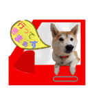 ♪かりんりんりん♪（個別スタンプ：3）