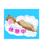 ♪かりんりんりん♪（個別スタンプ：5）