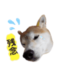 ♪かりんりんりん♪（個別スタンプ：6）
