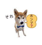 ♪かりんりんりん♪（個別スタンプ：9）