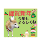 ♪かりんりんりん♪（個別スタンプ：10）