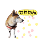 ♪かりんりんりん♪（個別スタンプ：14）