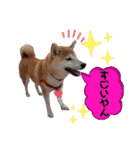 ♪かりんりんりん♪（個別スタンプ：15）