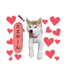 ♪かりんりんりん♪（個別スタンプ：22）