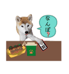 ♪かりんりんりん♪（個別スタンプ：23）