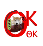 ♪かりんりんりん♪（個別スタンプ：24）