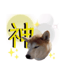 ♪かりんりんりん♪（個別スタンプ：25）