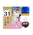 ♪かりんりんりん♪（個別スタンプ：26）