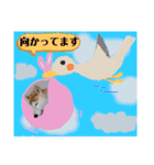 ♪かりんりんりん♪（個別スタンプ：27）