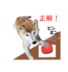 ♪かりんりんりん♪（個別スタンプ：29）