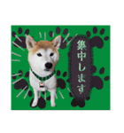 ♪かりんりんりん♪（個別スタンプ：32）