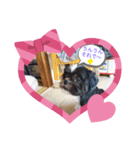 仕事で使える色々な犬スタンプ（個別スタンプ：4）