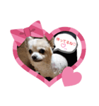 仕事で使える色々な犬スタンプ（個別スタンプ：5）