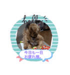 仕事で使える色々な犬スタンプ（個別スタンプ：7）