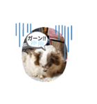 仕事で使える色々な犬スタンプ（個別スタンプ：9）