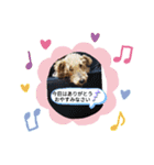 仕事で使える色々な犬スタンプ（個別スタンプ：13）