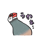 気が強い文鳥さん（個別スタンプ：21）