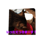ちくわくん＆おかきちゃんスタンプ（個別スタンプ：8）