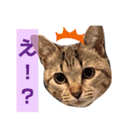 ちくわくん＆おかきちゃんスタンプ（個別スタンプ：11）