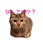ちくわくん＆おかきちゃんスタンプ（個別スタンプ：12）