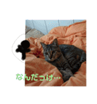 ちくわくん＆おかきちゃんスタンプ（個別スタンプ：29）