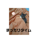 ちくわくん＆おかきちゃんスタンプ（個別スタンプ：31）